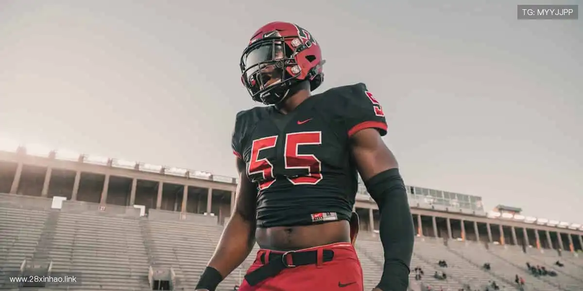 珍藏热爱,从这里开始!🎁🌟